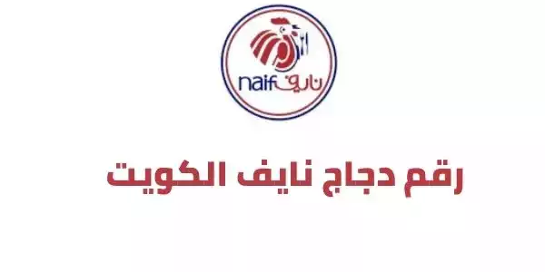 رقم دجاج نايف الكويت naif